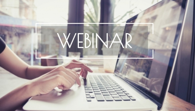 Webinar para franquicias
